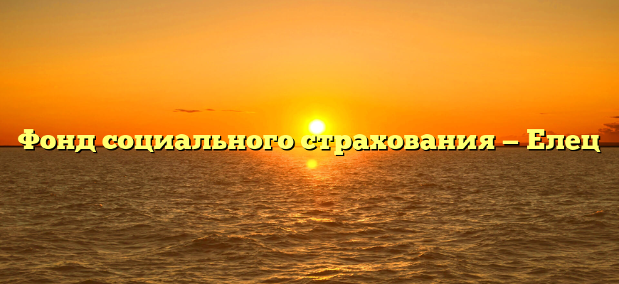 Фонд социального страхования — Елец