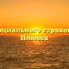 Фонд социального страхования — Плюсса