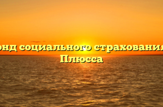 Фонд социального страхования — Плюсса