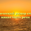 Морфологический разбор слова «бич», какая часть речи