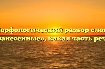 Морфологический разбор слова «занесенные», какая часть речи
