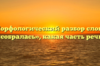 Морфологический разбор слова «собралась», какая часть речи
