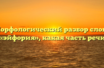 Морфологический разбор слова «эйфория», какая часть речи