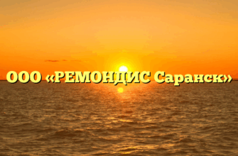 ООО «РЕМОНДИС Саранск»