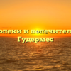 Отдел опеки и попечительства — Гудермес