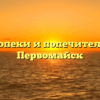 Отдел опеки и попечительства — Первомайск