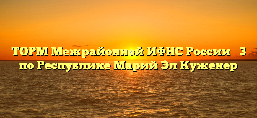 ТОРМ Межрайонной ИФНС России № 3 по Республике Марий Эл Куженер
