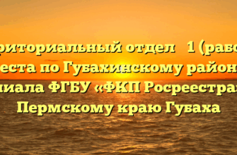 Территориальный отдел № 1 (рабочие места по Губахинскому району) филиала ФГБУ «ФКП Росреестра» по Пермскому краю Губаха