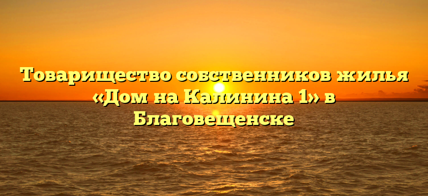 Товарищество собственников жилья «Дом на Калинина 1» в Благовещенске