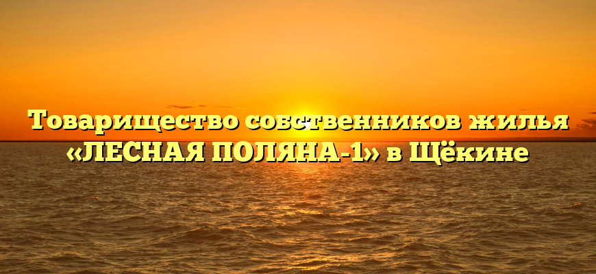 Товарищество собственников жилья «ЛЕСНАЯ ПОЛЯНА-1» в Щёкине