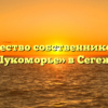 Товарищество собственников жилья «Лукоморье» в Сегеже