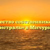 Товарищество собственников жилья «Магистраль» в Мичуринске