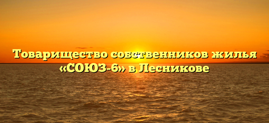 Товарищество собственников жилья «СОЮЗ-6» в Лесникове