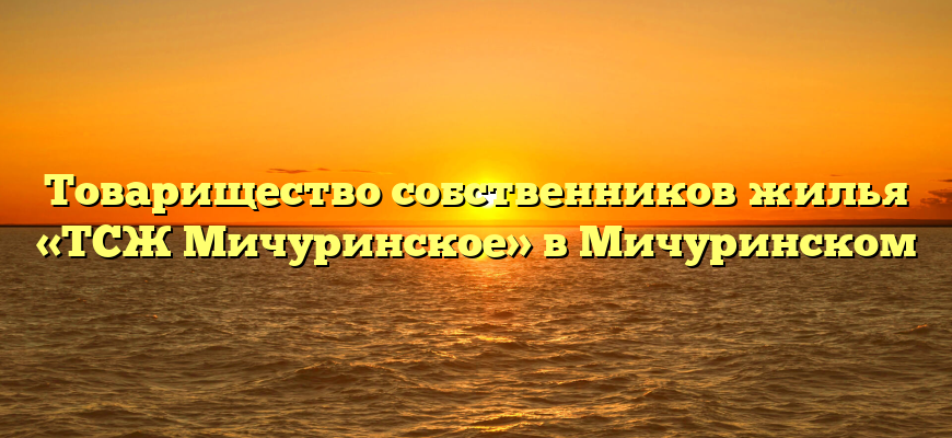 Товарищество собственников жилья «ТСЖ Мичуринское» в Мичуринском