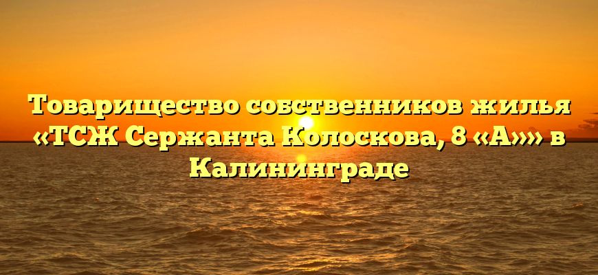 Товарищество собственников жилья «ТСЖ Сержанта Колоскова, 8 «А»» в Калининграде