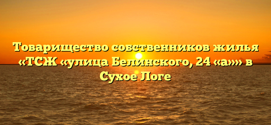 Товарищество собственников жилья «ТСЖ «улица Белинского, 24 «а»» в Сухое Логе