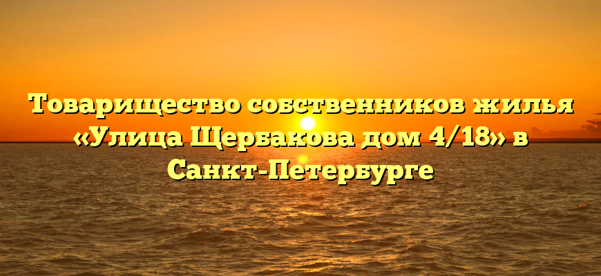 Товарищество собственников жилья «Улица Щербакова дом 4/18» в Санкт-Петербурге