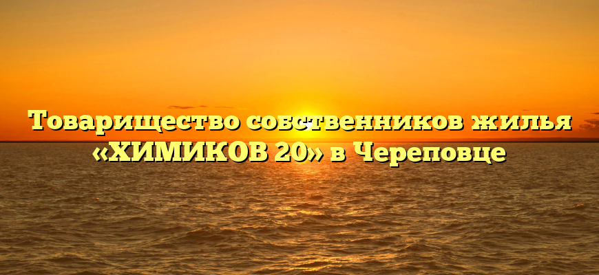 Товарищество собственников жилья «ХИМИКОВ 20» в Череповце