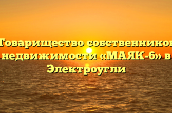 Товарищество собственников недвижимости «МАЯК-6» в Электроугли