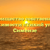 Товарищество собственников недвижимости «Тихий уголок» в Симеизе