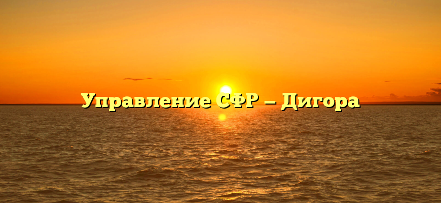 Управление СФР — Дигора
