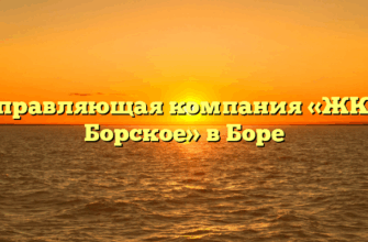 Управляющая компания «ЖКХ Борское» в Боре