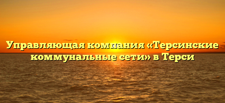 Управляющая компания «Терсинские коммунальные сети» в Терси