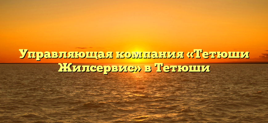 Управляющая компания «Тетюши Жилсервис» в Тетюши