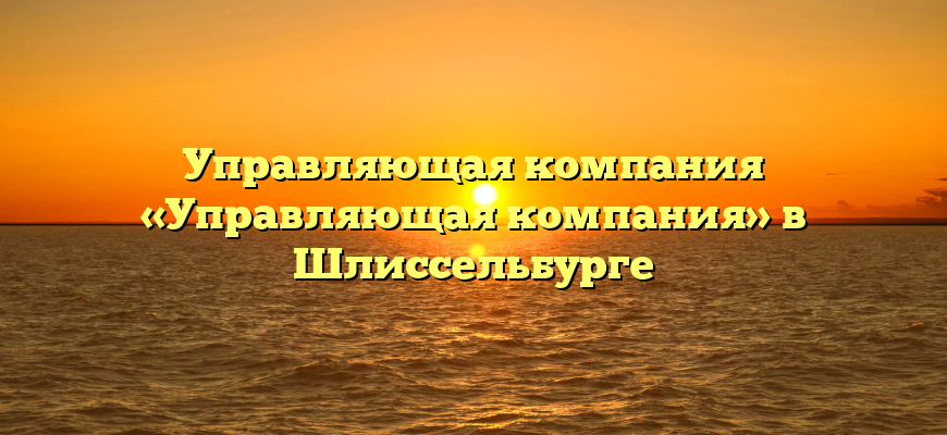 Управляющая компания «Управляющая компания» в Шлиссельбурге