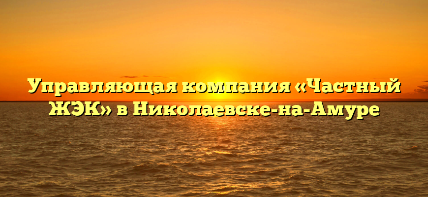 Управляющая компания «Частный ЖЭК» в Николаевске-на-Амуре