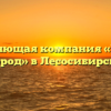 Управляющая компания «Чистый город» в Лесосибирске