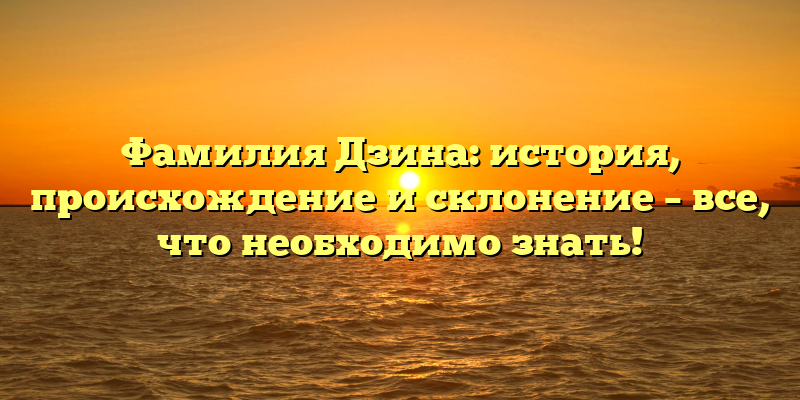 Фамилия Дзина: история, происхождение и склонение – все, что необходимо знать!