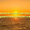 «Бесперебойная» или «безперебойная» — как правильно пишется слово?