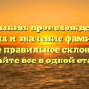 Дыдыкин: происхождение, история и значение фамилии, а также правильное склонение – узнайте все в одной статье