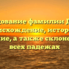 Исследование фамилии Домасс: происхождение, история и значение, а также склонение во всех падежах