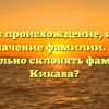 Кикава: происхождение, история и значение фамилии. Как правильно склонять фамилию Кикава?