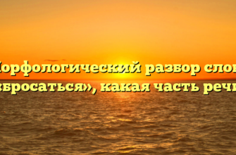 Морфологический разбор слова «бросаться», какая часть речи