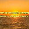 Морфологический разбор слова «подсечь», какая часть речи