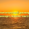 Морфологический разбор слова «профессор», какая часть речи