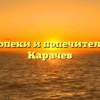 Отдел опеки и попечительства — Карачев