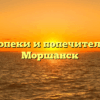 Отдел опеки и попечительства — Моршанск