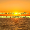 «Паучок» или «паучёк» — как правильно пишется слово?