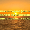 Полная история фамилии Кружалов: происхождение, значение и правила склонения