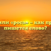«Росса» или «роса» — как правильно пишется слово?