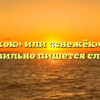 «Снежок» или «снежёк» — как правильно пишется слово?