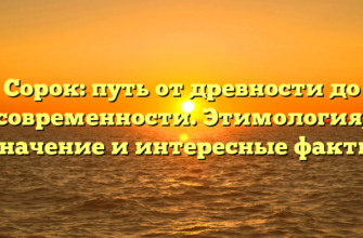 Сорок: путь от древности до современности. Этимология, значение и интересные факты