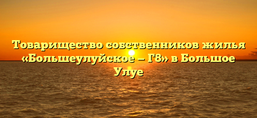 Товарищество собственников жилья «Большеулуйское — Г8» в Большое Улуе