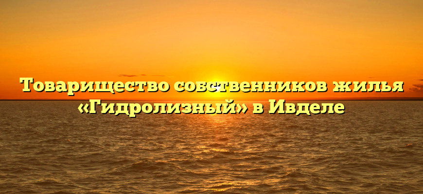Товарищество собственников жилья «Гидролизный» в Ивделе