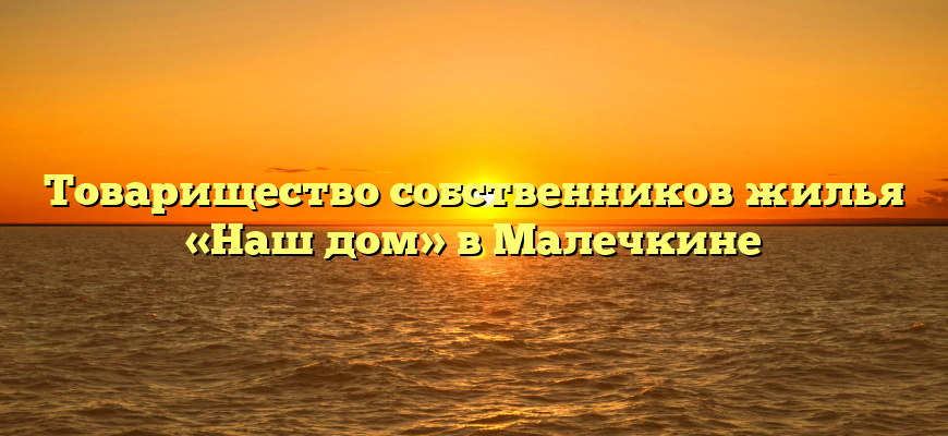 Товарищество собственников жилья «Наш дом» в Малечкине