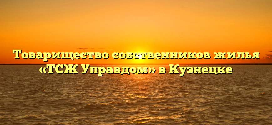 Товарищество собственников жилья «ТСЖ Управдом» в Кузнецке